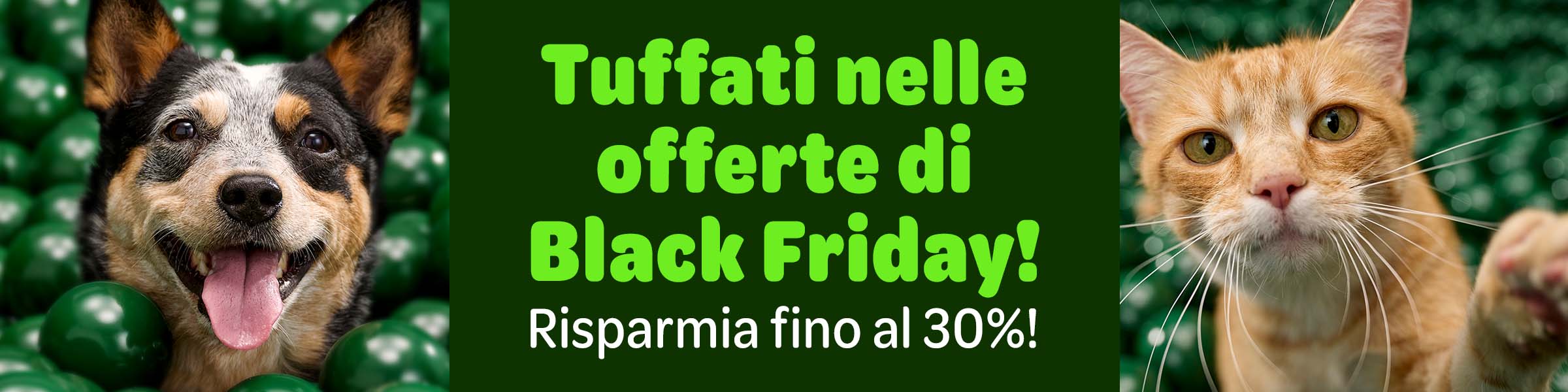 Scopri le migliori offerte dell'anno!