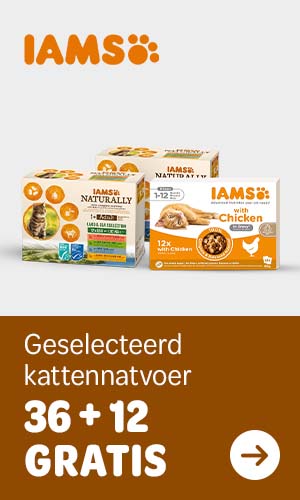 IAMS 36 + 12 GRATIS