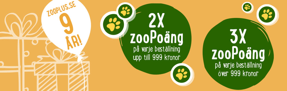 ZooPoäng 