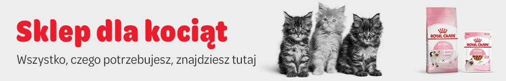 Wszystko dla kociąt