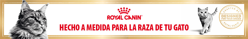 Alimentos para gatos según su raza