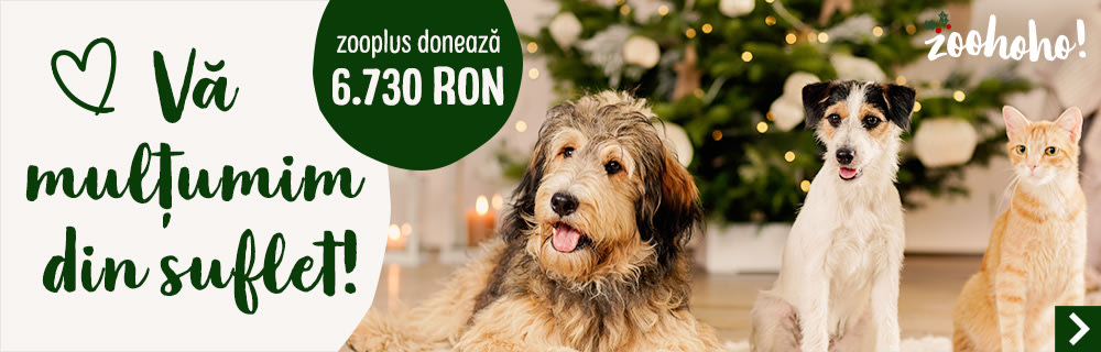 zooplus a donat 6.730 RON în campania de Crăciun!