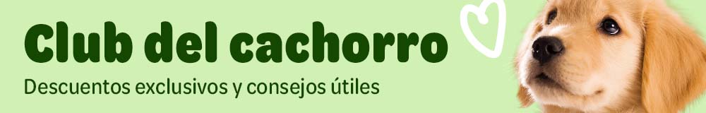 ¡Prueba ahora los snacks!