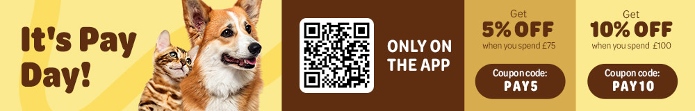 It's Pay Day! Celebrate with Savings
