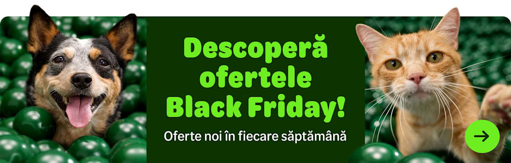 Ofertele Early Black Friday sunt aici
