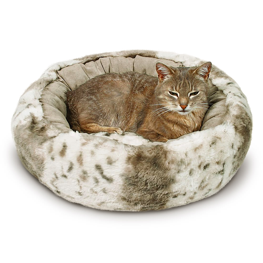 Large best sale cat beds