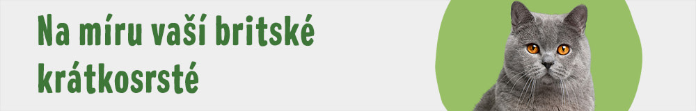 Britská krátkosrstá 