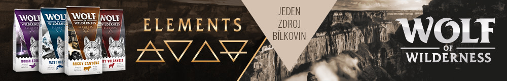 2019 07 WOW Elements 1000x160 CZ