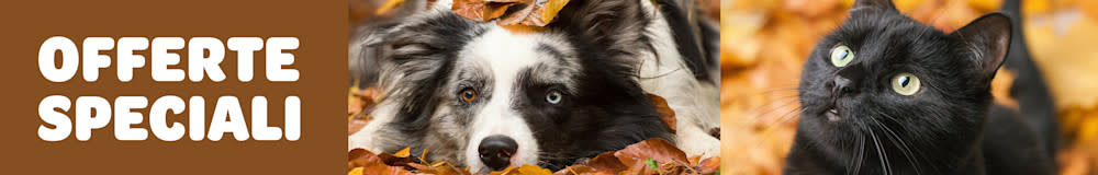 Scopri le migliori offerte del momento.