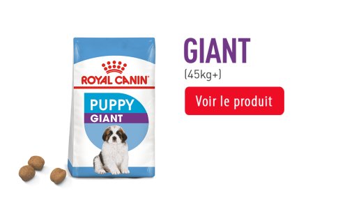 Royal Canin Puppy Subpage - Grids taille GIANT Image