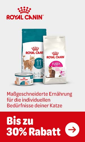 Bis zu 30% Rabatt auf Royal Canin Katzenfutter. Royal Canin - Maßgeschneiderte Ernährung für die individuellen Bedürfnisse deiner Katze.