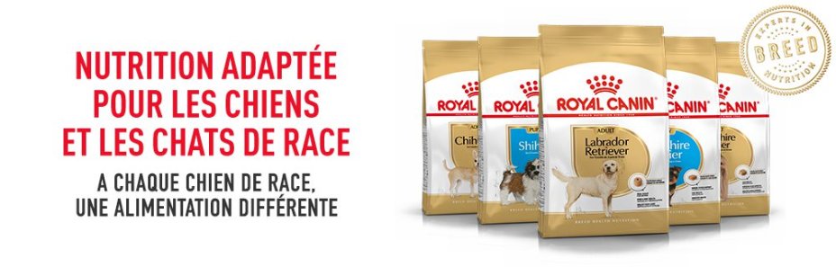 ROYAL CANIN BRAND PAGE - DOG Subpage - Middle banner Breed Nutrition image