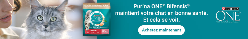 Purina One Bifensis croquettes pour chat