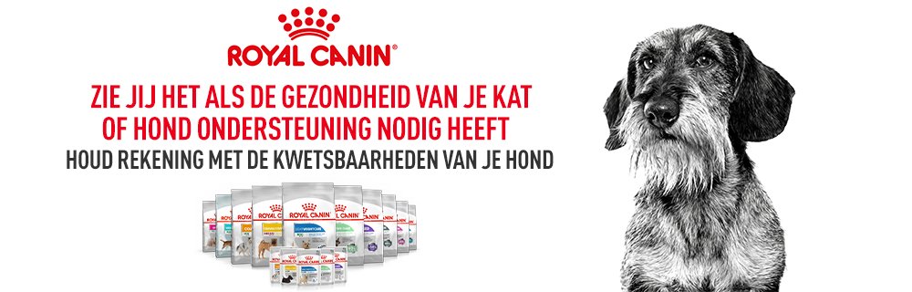 Main banner Royal Canin Canine Care Nutrition