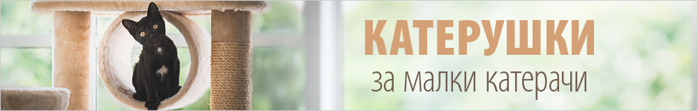 Катерушки и драскалки за котенца