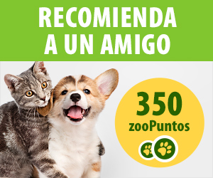 Recomienda a un amigo
