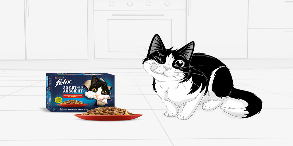 felix cat food cat