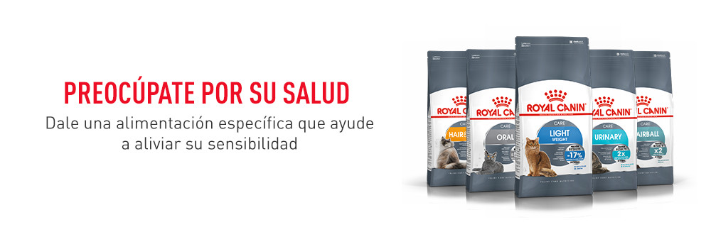 Royal Canin comida para gatos con necesidades especiales