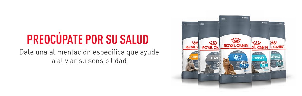 Royal Canin comida para gatos con necesidades especiales