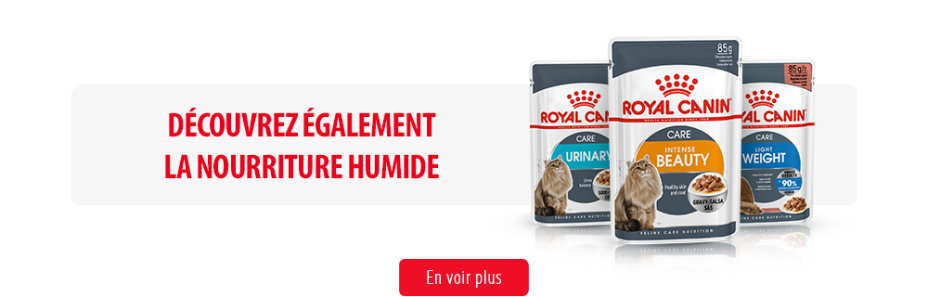 Royal Canin Feline Care Subpage - Middle Banner Humide Image