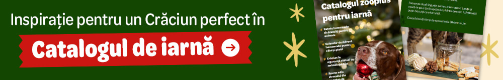 Descoperă catalogul zooplus pentru iarnă!