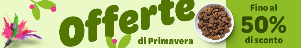 Offerte di primavera fino al 50% di sconto.