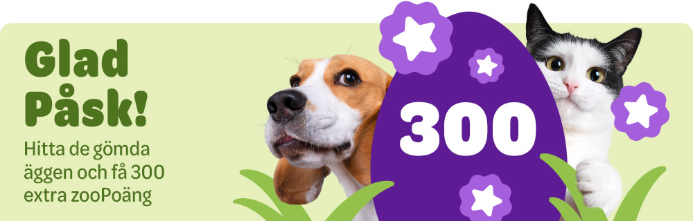 zooplus Club: Hitta de gömda påskäggen