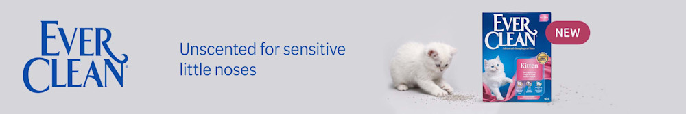 Everclean Kitten