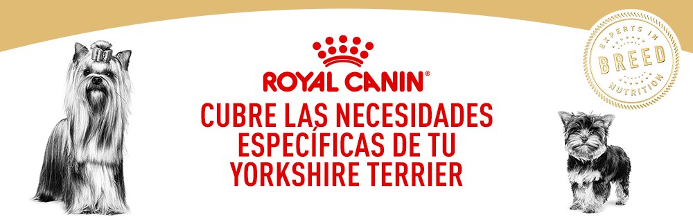 Royal Canin Chihuahua