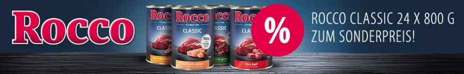 RoccoClassic-24x800