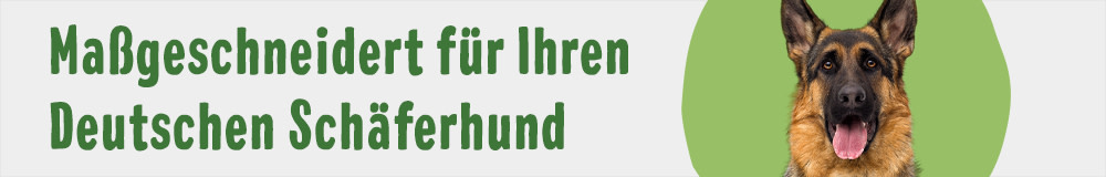 Deutscher Schäferhund