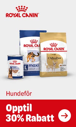 30% rabatt på Royal Canin