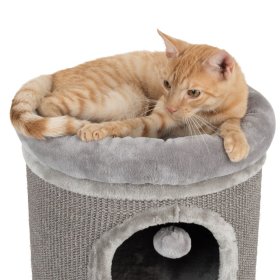 Cat Team - Giochi per gatti - Cilindri mix colori - Box 36 pezzi - Cesarano  s.a.s.