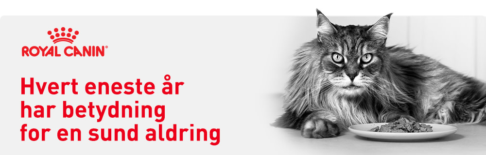 Royal Canin - Hvert år har betydning for din kat