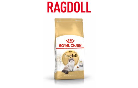 Royal Canin para gatos ragdoll