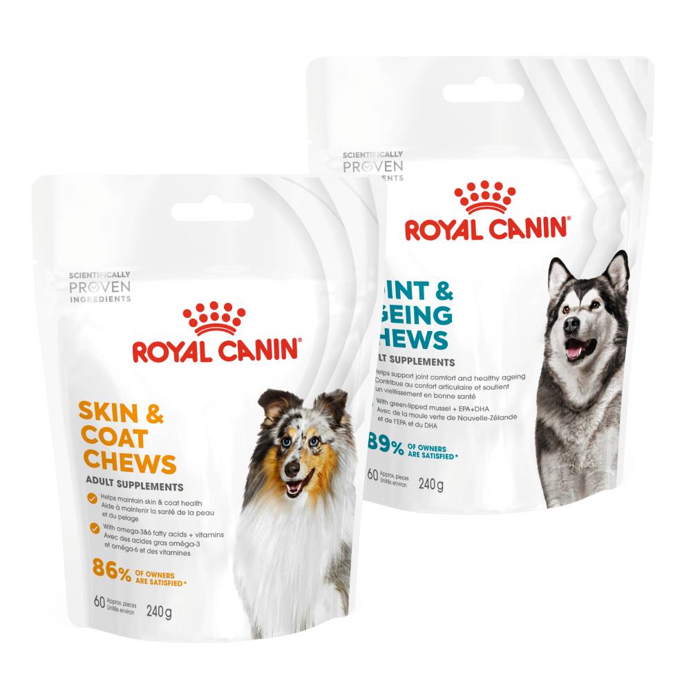 royal canin brand