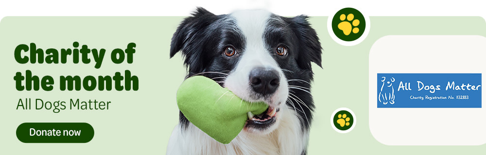 Charity of the Month