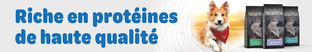 Riche en protéines de haute qualité