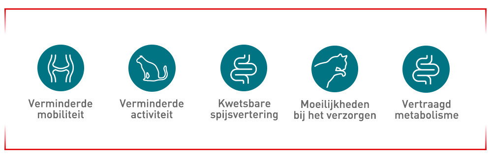 Tekenen waar je op moet letten
