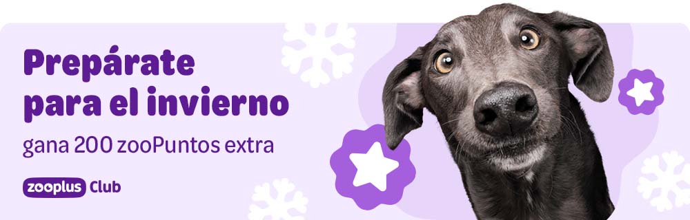 200 zooPuntos extra con tu pedido superior a 69 euros