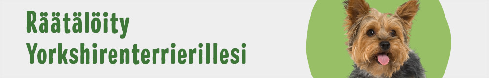 Dog Breed Yorkshire Terrier 1000x160 FI