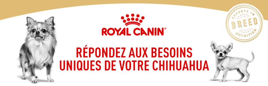 Votre box Royal Canin Chihuahua