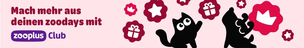 Mach mehr aus deinen zoodays mit zooplus Club