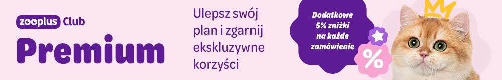 zooplus Club Premium, ulepsz swój plan i zgarnij ekskluzywne korzyści