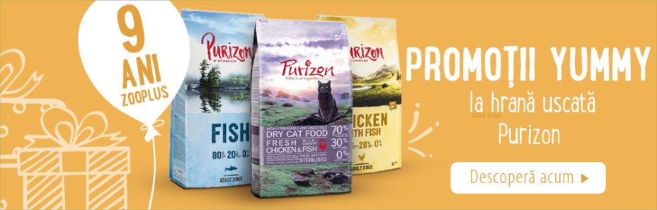 Promoții Yummy la Purizon pentru câini & pisici!