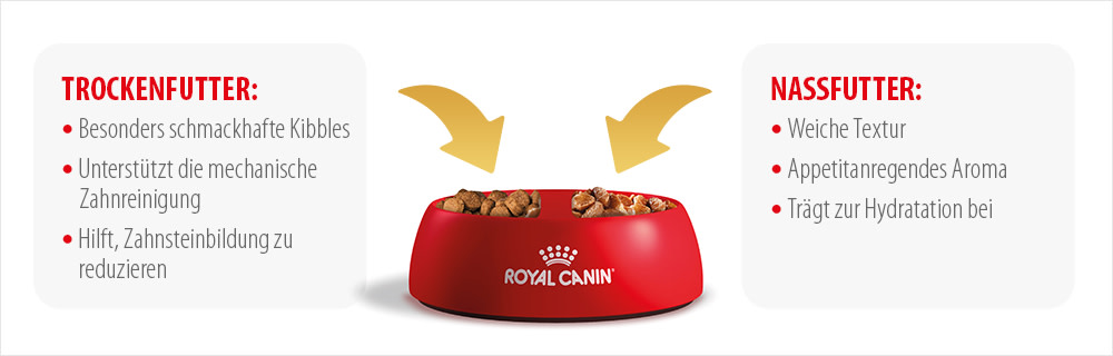 Mischen Sie Trocken- & Nassfutter für ein optimales Fütterungselebnis