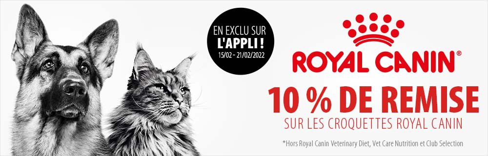 10 % de remise sur les croquettes Royal Canin en exclusivité sur l'application