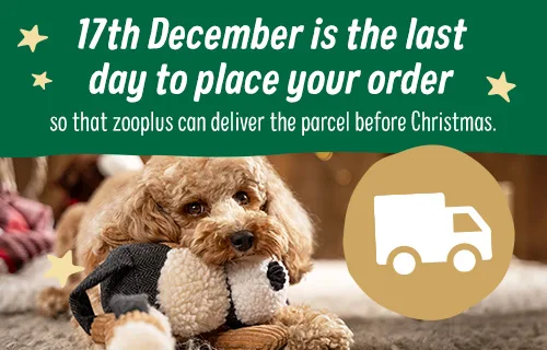 last order date for delivery before Christmas