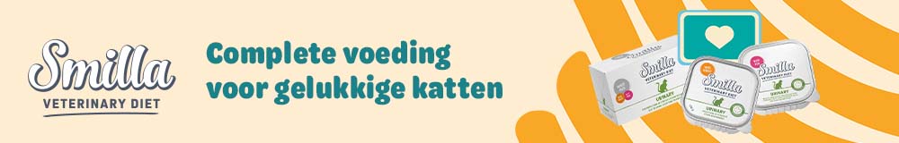 Smilla Middle banner