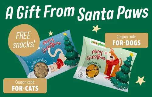 FREE Yummy Christmas Snacks for dogs and cats!